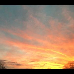 Meet your Posher, Ingrid